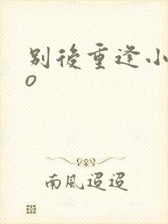 别后重逢小说po