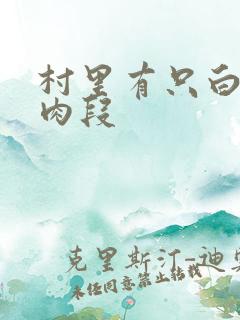 村里有只白骨精肉段