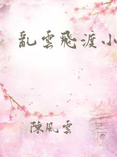 乱云飞渡小说
