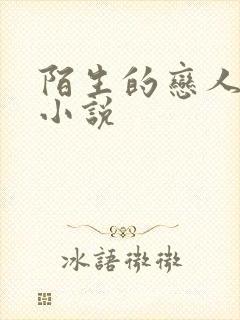 陌生的恋人原著小说