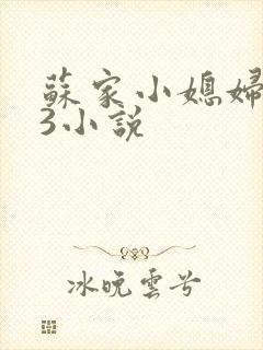 苏家小媳妇1V3小说