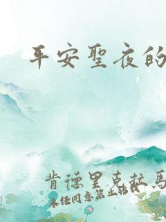 平安圣夜的祭礼