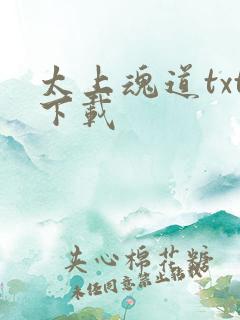 太上魂道txt下载