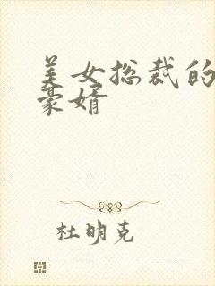 美女总裁的顶级豪婿