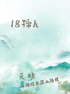 18号h