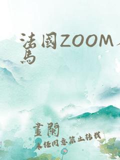 法国ZOOM人马
