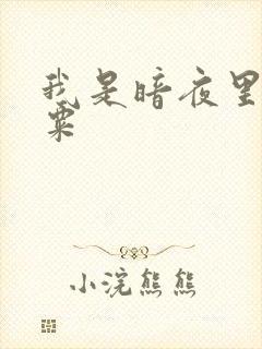 我是暗夜里的罂粟