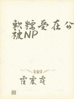 软糯受在公交车被NP