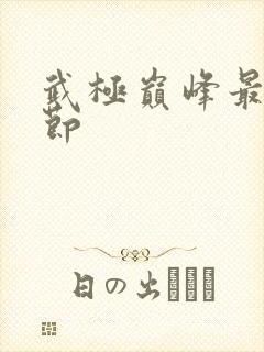 武极巅峰最新章节