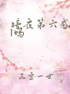 暗夜第六感是bl吗