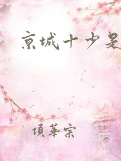 京城十少是谁