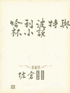 哈利波特与火焰杯小说