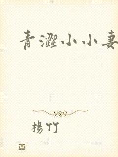 青涩小小妻