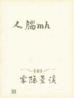 人脑mh
