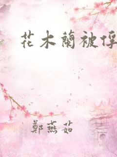 花木兰被俘奶