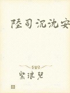 陆司沉沈安