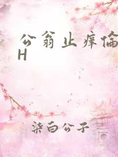 公翁止痒伦理DH