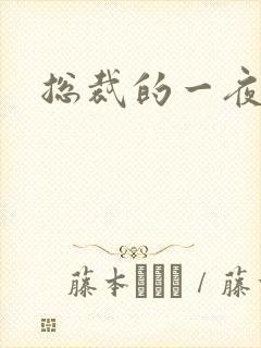 总裁的一夜情人