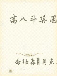 高八斗集团