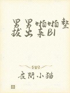 男男啪啪整夜不拔出来BI