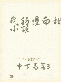 我的傻白甜老婆小说