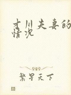 才川夫妻的恋爱情况