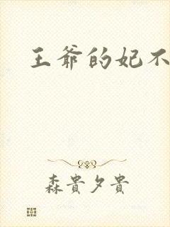 王爷的妃不是妃