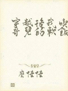 穿越后我吃到了哥儿的软饭炉山灰