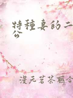 特种妻的二手老公