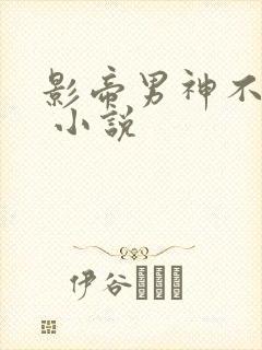 影帝男神不节制 小说