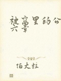 被窝里的公息第六章