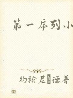 第一序列小说