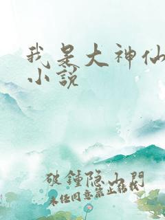 我是大神仙时江小说