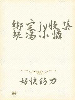 绑定jy收集系统冯小怜