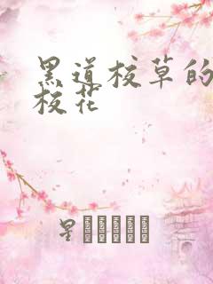 黑道校草的黑道校花