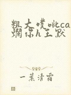 粗大噗呲cao烂你h王默