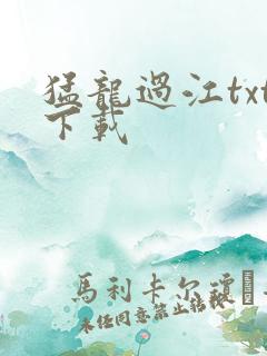 猛龙过江txt下载