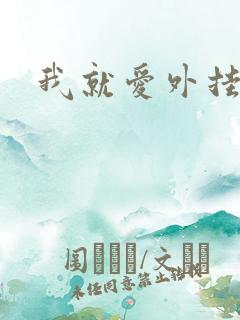 我就爱外挂网