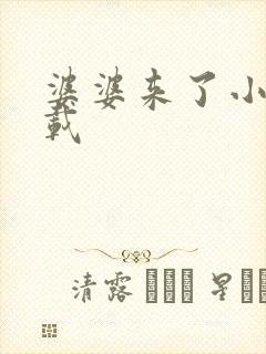 婆婆来了小说下载