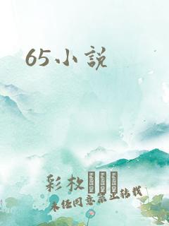 65小说
