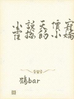 小说天价宠妻:霍总的小娇妻