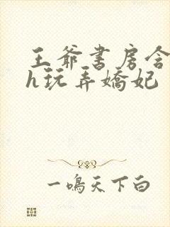 王爷书房含乳尖h玩弄娇妃