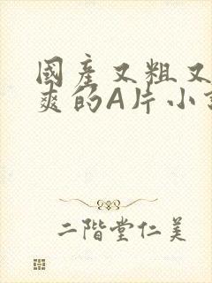 国产又粗又黄又爽的A片小说