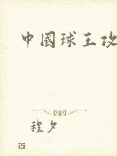 中国球王攻略