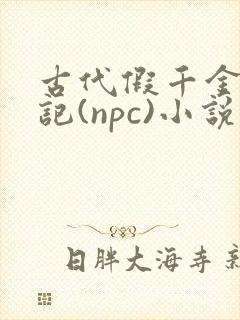古代假千金挨日记(npc)小说