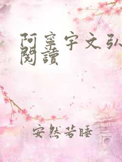 阿宁宇文弘免费阅读