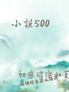 小说500