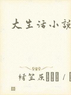 大生活小说