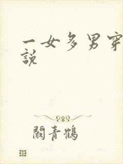 一女多男穿越小说
