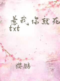 惹我你就死定了txt